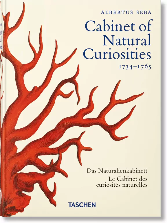 Cabinet of Natural Curiosities wer. angielska - tantis.pl