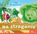 Na straganie - tantis.pl
