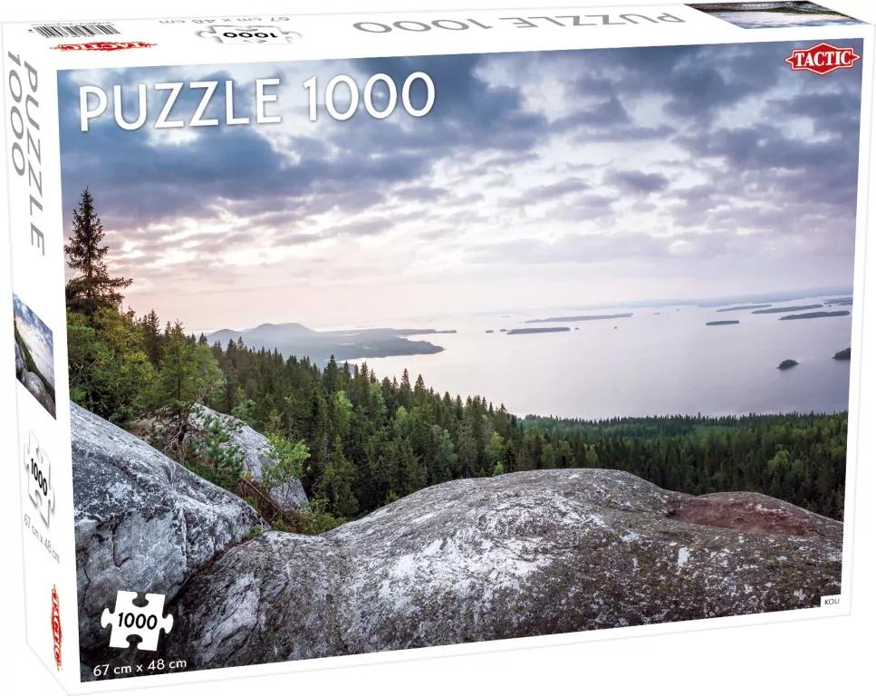 Puzzle Wzgórze Koli Finlandia 1000 - tantis.pl