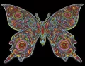 Kolorowanka Welwetowa 47x35 Motyl - tantis.pl