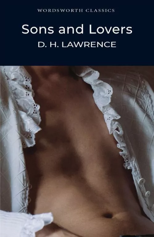 Sons and Lovers - tantis.pl