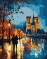 Malowanie po numerach - Nocny spacer 40x50cm - tantis.pl