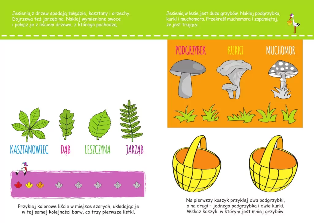 Pory roku. Nowa akademia 3-latka - tantis.pl