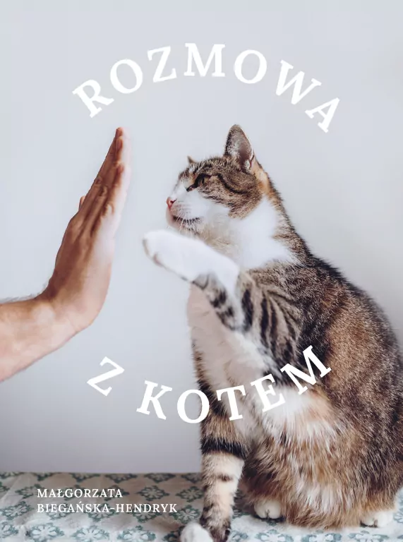 Rozmowa z kotem - tantis.pl