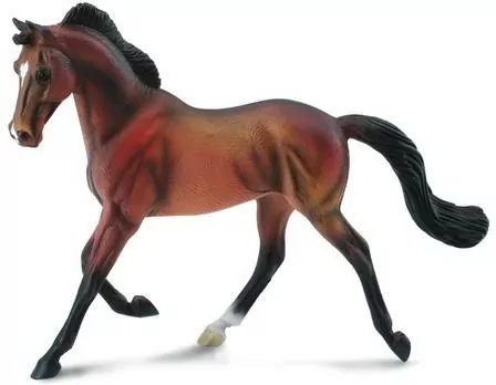 Klacz Thoroughbred maści bay - tantis.pl