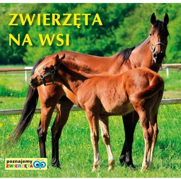 Zwierzęta na wsi. Poznajemy zwierzęta - tantis.pl