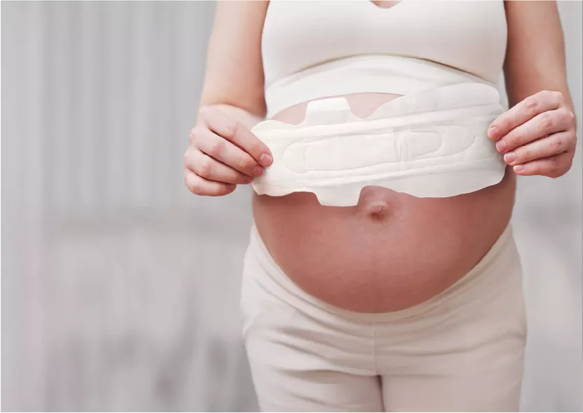 NENO Fina ultracienkie podpaski poporodowe. Rozmiar L - tantis.pl