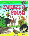 Zwierzęta polski 210 naklejek - tantis.pl