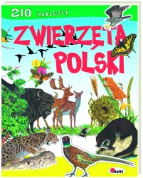 Zwierzęta polski 210 naklejek