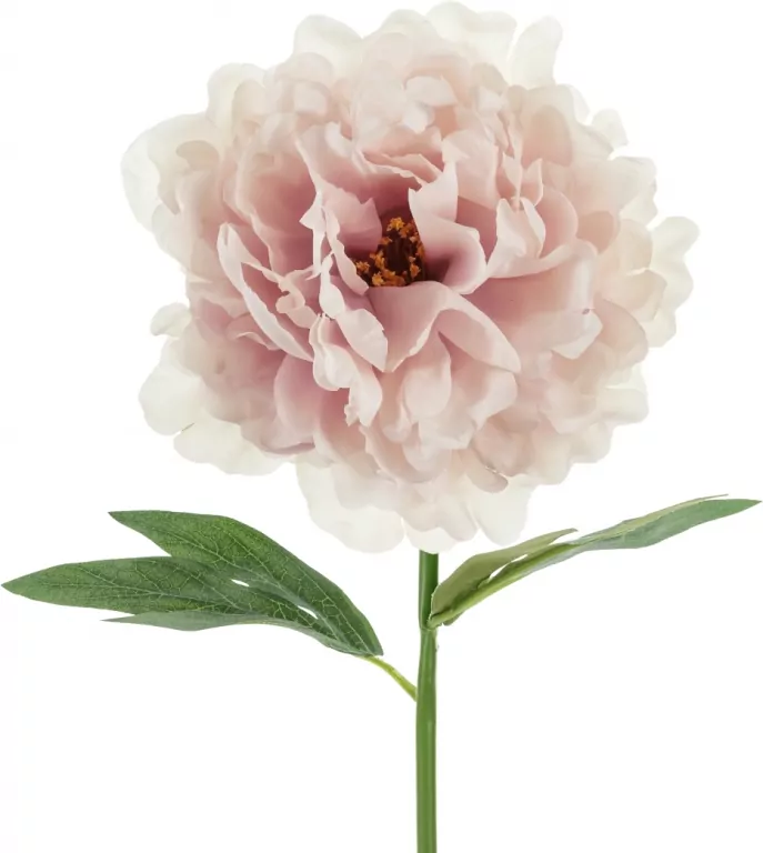 Piwonia różowa 35cm - tantis.pl