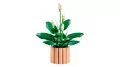 LEGO®. Botanical Collection. Skrzydłokwiat. 11504 - tantis.pl