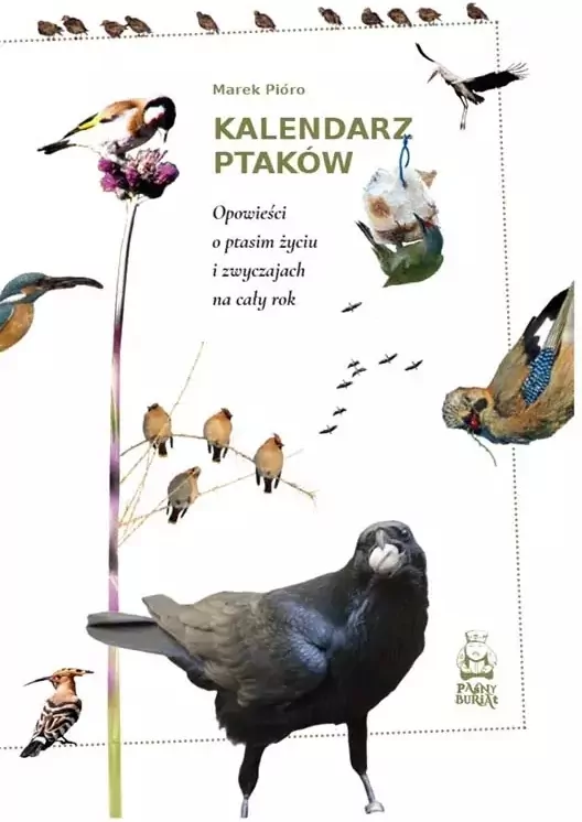 Kalendarz ptaków. Opowieści o ptasim życiu i zwyczajach na cały rok - tantis.pl