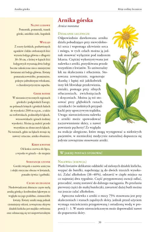 Moje rośliny lecznicze - tantis.pl