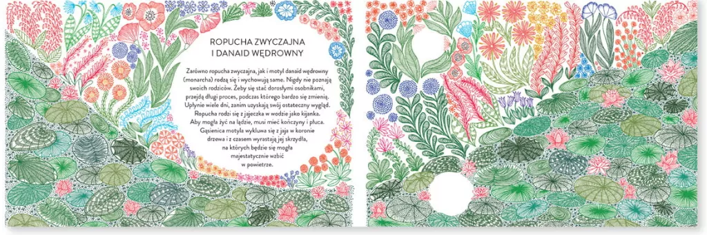 Narodziny - tantis.pl