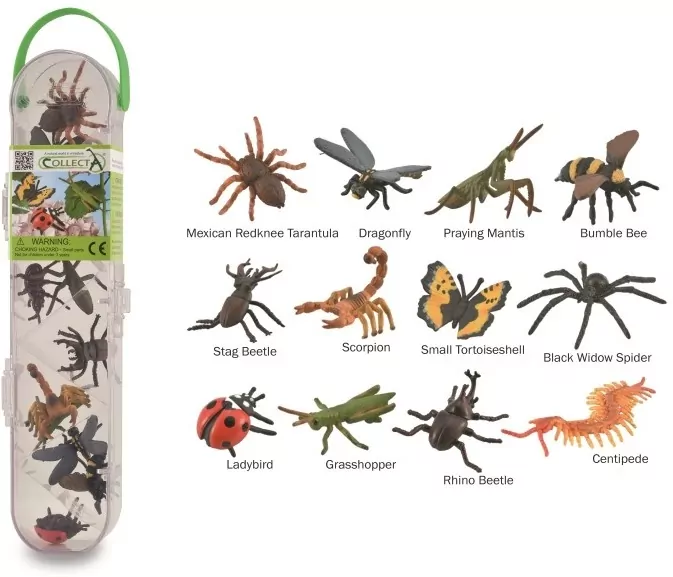 Insekty mini box - tantis.pl