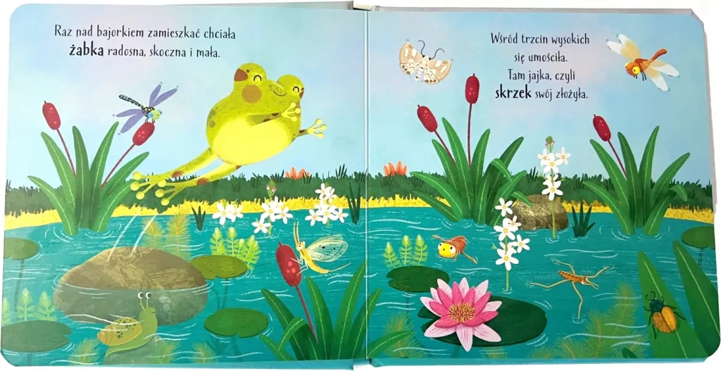 Żabka. Mój świat - tantis.pl