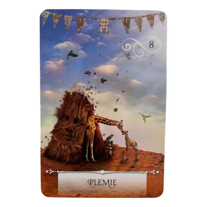 Mądrość wyroczni. Karty wyroczni - tantis.pl