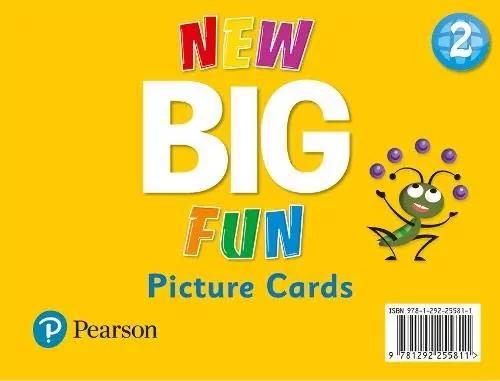 New Big Fun 2 Picture Cards - tantis.pl