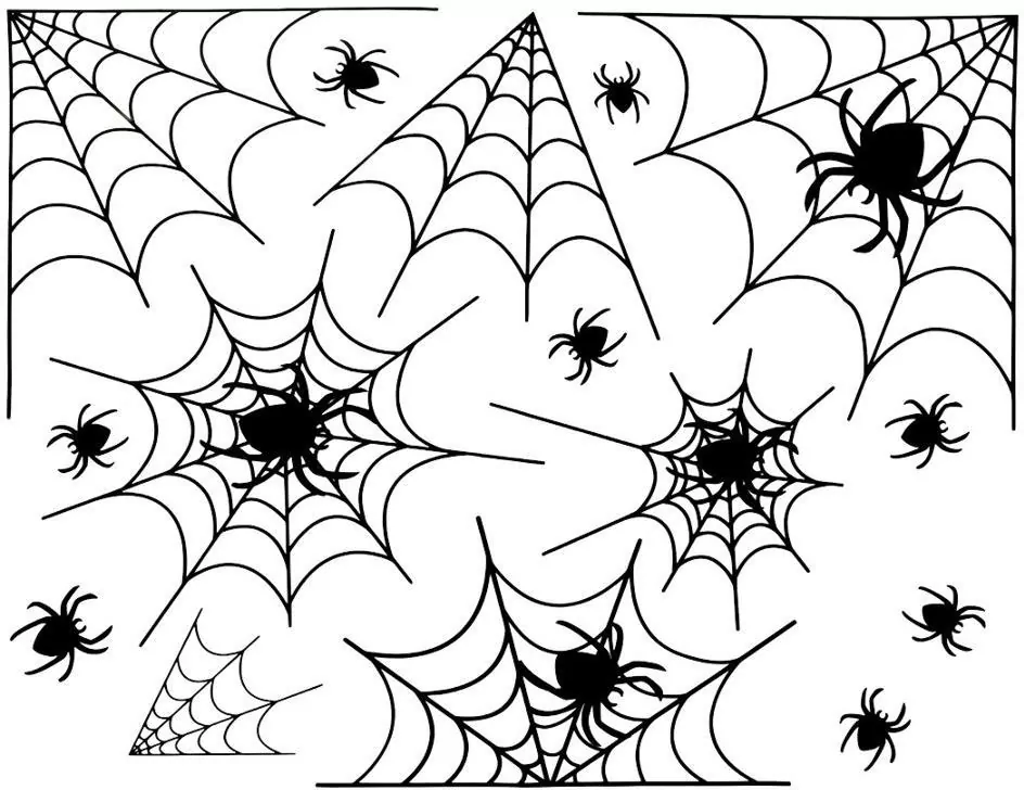 Dekoracja elektrostatyczna pajęczyna - tantis.pl