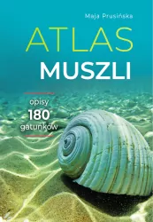 Atlas muszli. Opisy 180 gatunków