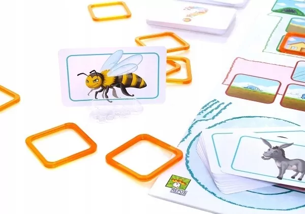 Zwierzaki. Koncept Kids - tantis.pl