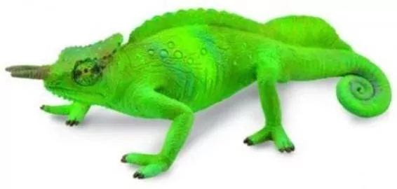 Kameleon górski - tantis.pl