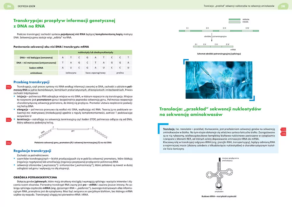 Matura 2024. Biologia repetytorium - tantis.pl
