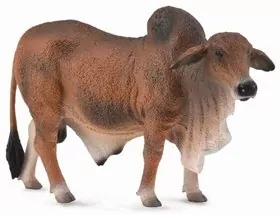 Collecta. Byk czerwony brahman - tantis.pl
