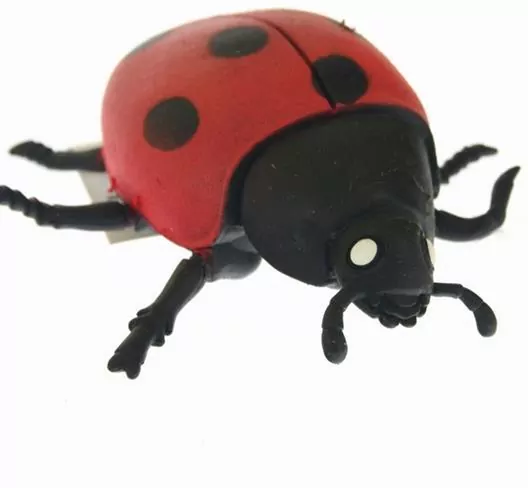 Biedronka z groszkiem 9cm - tantis.pl