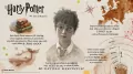 Harry Potter i Kamień Filozoficzny – edycja jubileuszowa - tantis.pl