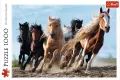 Puzzle 1000. Galopujące konie 10446 - tantis.pl