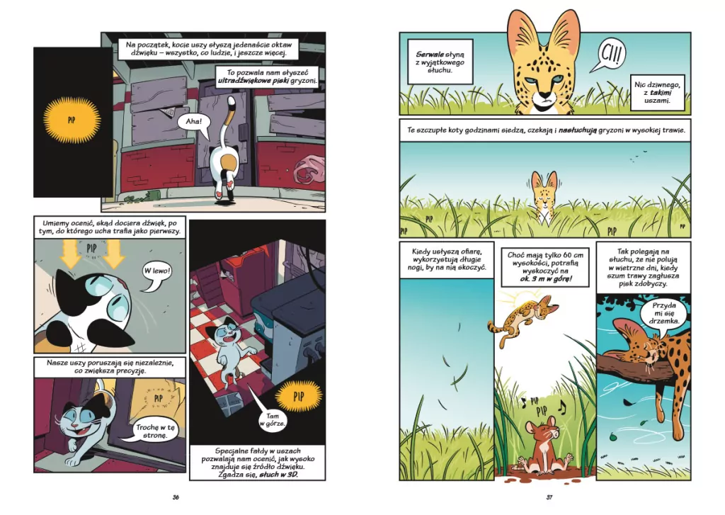 Koty. Natura i wychowanie. Naukomiks - tantis.pl
