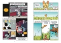 Koty. Natura i wychowanie. Naukomiks - tantis.pl