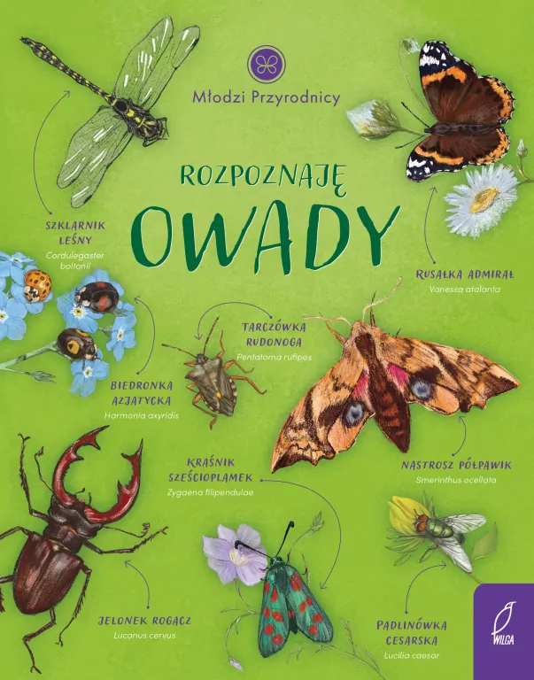 Rozpoznaję owady. Młodzi przyrodnicy - tantis.pl