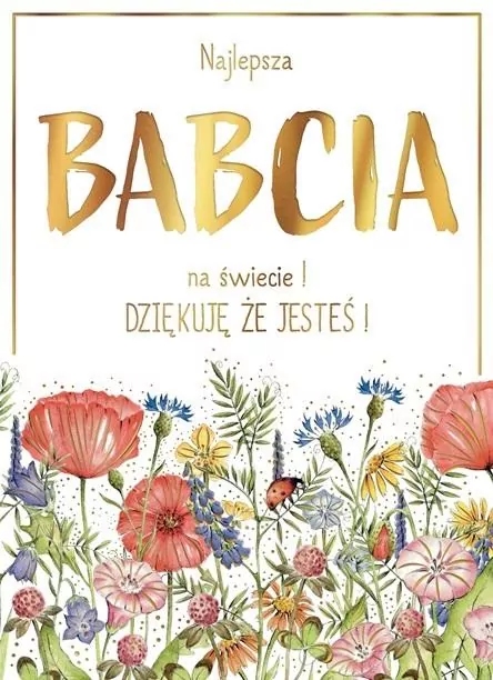 Karnet B6 Łąka Babcia - tantis.pl