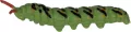 ZWIERZ INSEKTY 8CM MIX MC FOL DISP 48/960 - tantis.pl