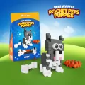 Mini Waffle - Pocket Pets Puppies - Husky - tantis.pl