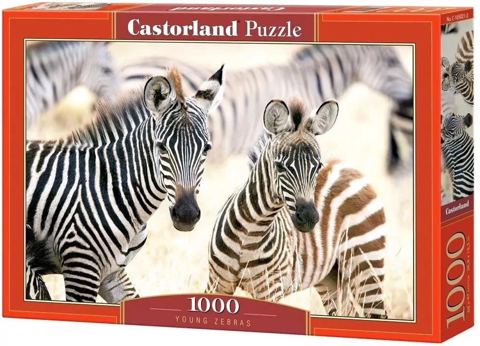 Puzzle 1000. Young Zebras - tantis.pl