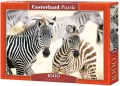 Puzzle 1000. Young Zebras - tantis.pl