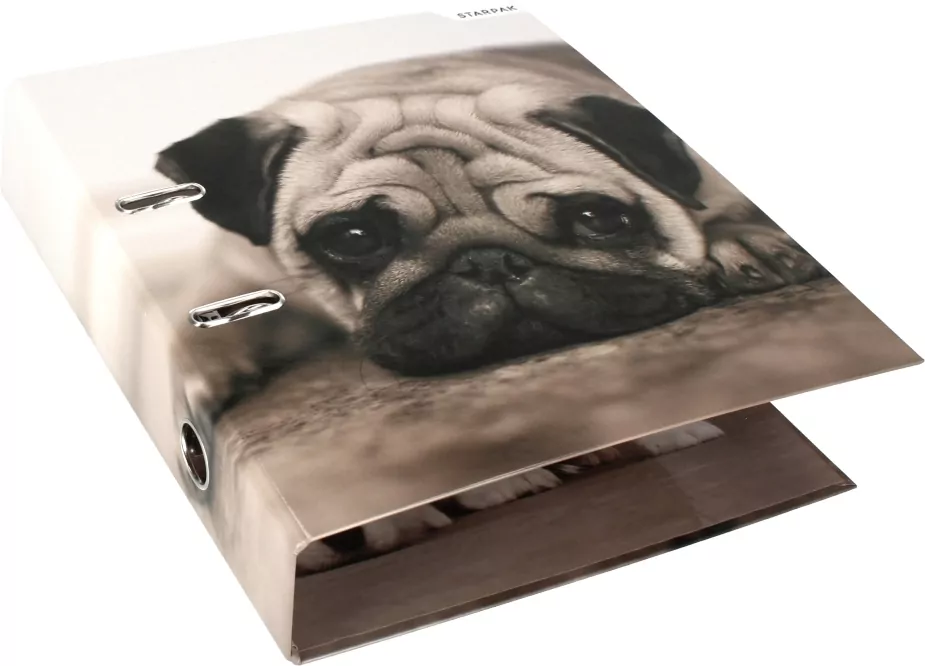 Segregator A4 Psy - tantis.pl