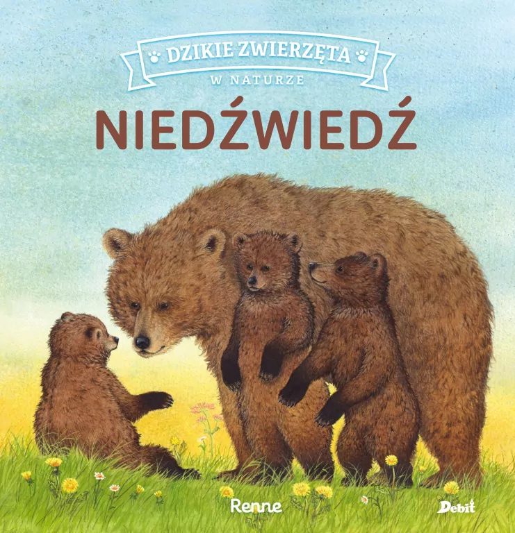 Niedźwiedź. Dzikie zwierzęta w naturze - tantis.pl