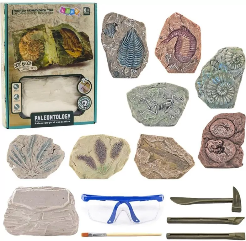 Zestaw paleontologiczny wykopaliska narzdzia - tantis.pl