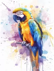 Malowanie po numerach 40x50cm Papuga