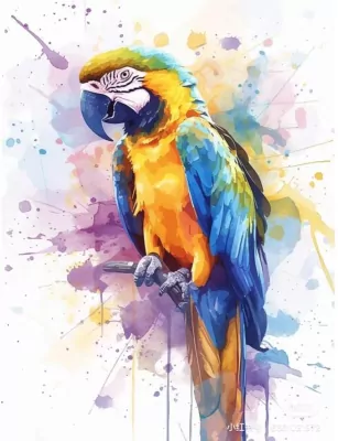 Malowanie po numerach 40x50cm Papuga