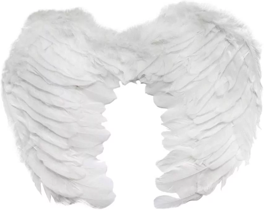 Arpex. Skrzydełka cherubina - tantis.pl