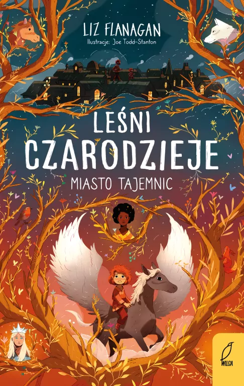 Leśni czarodzieje T.2 Miasto tajemnic - tantis.pl
