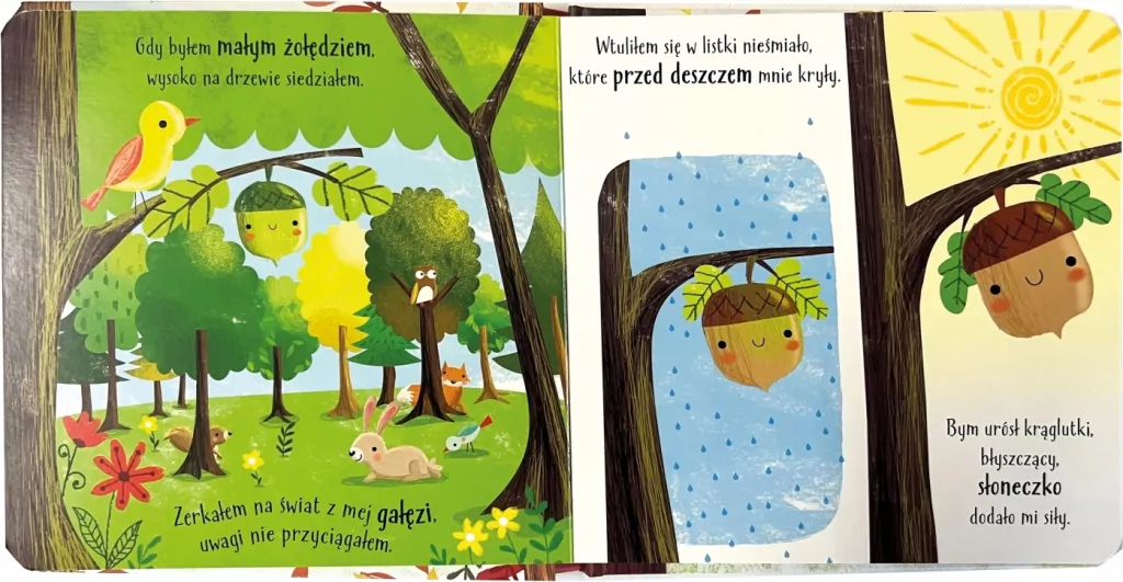 Żołądź. Mój świat - tantis.pl