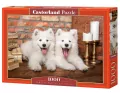 Puzzle 1000. Samoyed Puppies Say Hello - tantis.pl