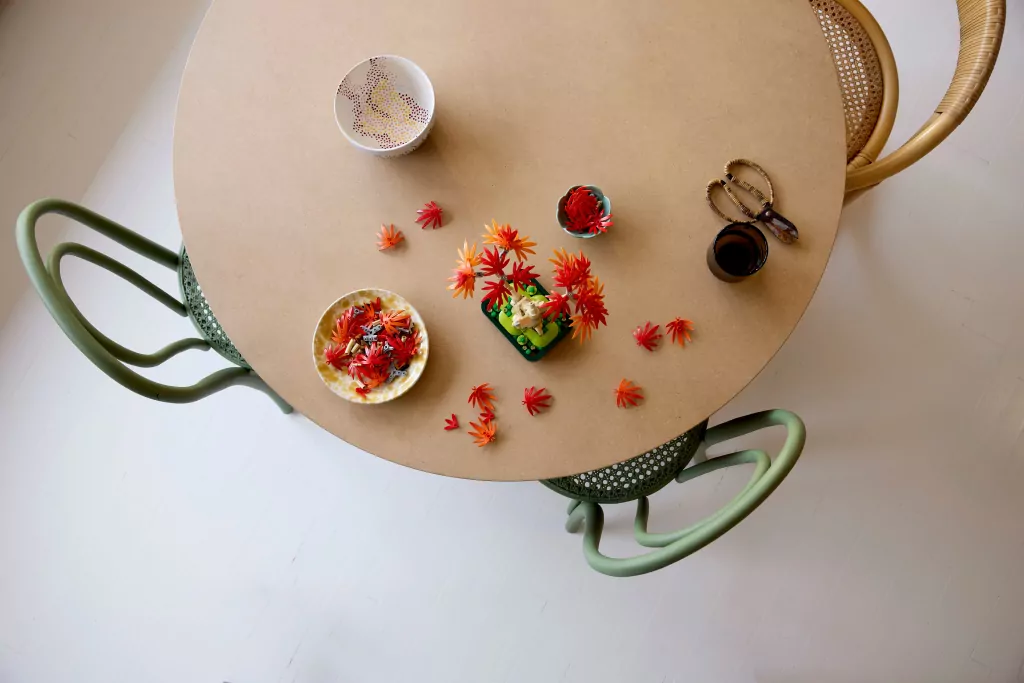 LEGO® Botanicals. Klon palmowy bonsai 10348 - tantis.pl