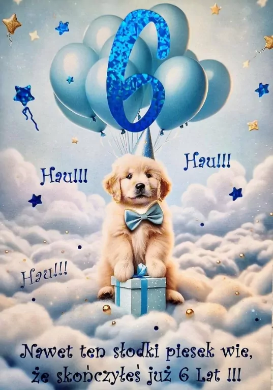 Karnet Urodziny 6 3K - tantis.pl